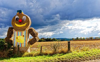 Humour sur les réseaux sociaux : être drôle pour être vu ? 